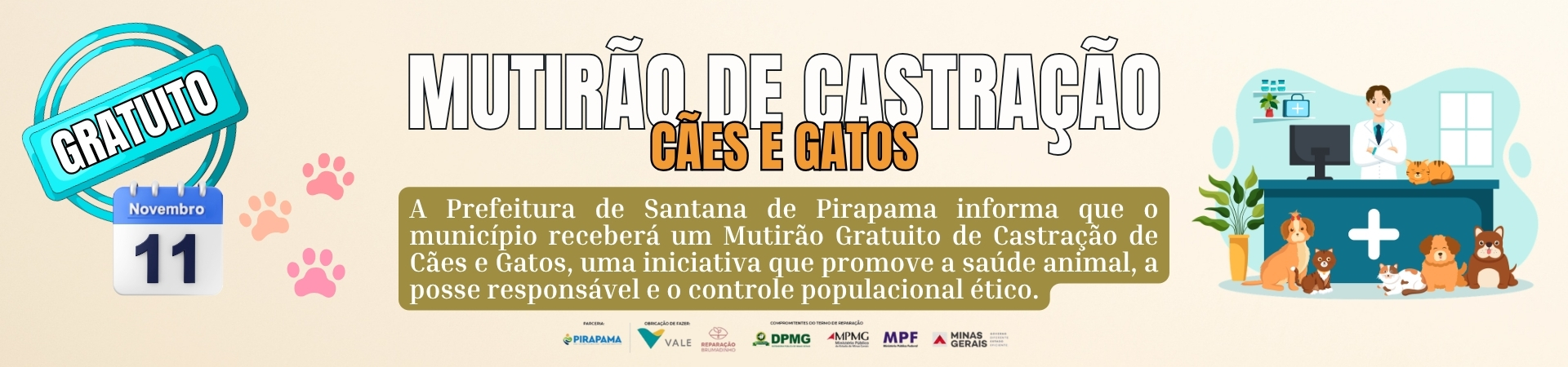 Castração de Cães e Gatos