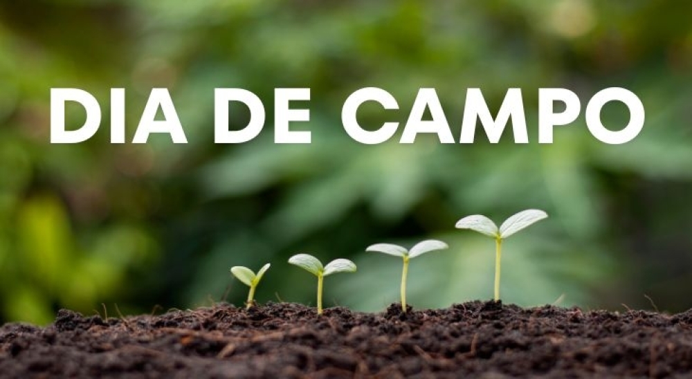 Notícia Grande