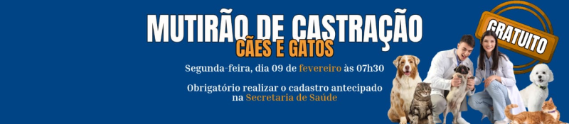 Prefeitura abre cadastro para mutirão de castração de cães e gatos